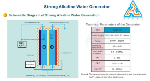 Alkaline Water Ionizer Manufacturer